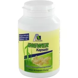 INGWER 500 mg kapslar+vitamin B1+C, 90 st