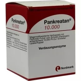 PANKREATAN 10 000 enterikapslade hårda kapslar, 100 st