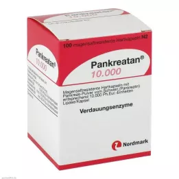 PANKREATAN 10 000 enterikapslade hårda kapslar, 100 st