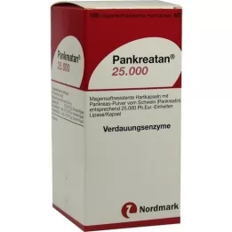 PANKREATAN 25 000 enterotäckta hårda kapslar, 100 st