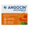 ANGOCIN Anti Infekt N Filmdragerade tabletter, 100 kapslar