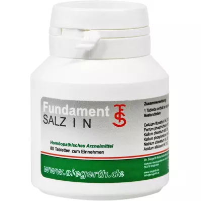 FUNDAMENT-Salt I N Tabletter, 4X80 St