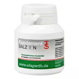FUNDAMENT-Salt I N Tabletter, 4X80 St