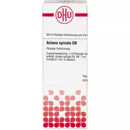 ACTAEA SPICATA D 6 Utspädning, 20 ml