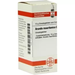 ARUNDO mauritanica C 30 globuli, 10 g