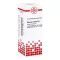 Asterias Rubens D6 Spädning (20 ml)