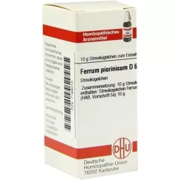 FERRUM PICRINICUM D 6 kulor, 10 g