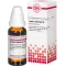 JUSTICIA adhatoda D 6 Utspädning, 20 ml