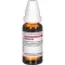 KALMIA D 8 utspädning, 20 ml