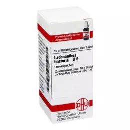LACHNANTHES tinctoria D 6 kulor, 10 g