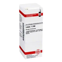 LEDUM C 200 Utspädning, 20 ml