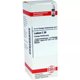 LEDUM C 30 utspädning, 20 ml