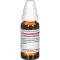 LEONURUS CARDIACA D 4 utspädning, 20 ml