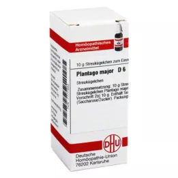 PLANTAGO MAJOR D 6 kulor, 10 g