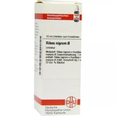 Ribes Nigrum modertinktur (20 ml) Ribes Nigrum modertinktur (20 ml)