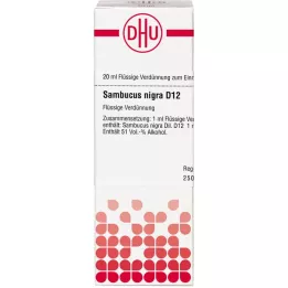 SAMBUCUS NIGRA D 12 Utspädning, 20 ml