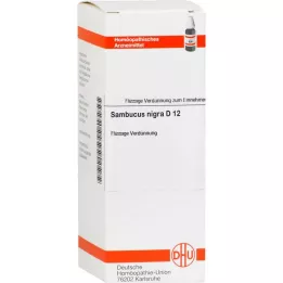 SAMBUCUS NIGRA D 12 Utspädning, 20 ml