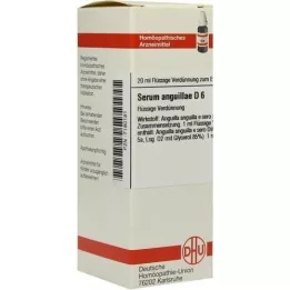 SERUM ANGUILLAE D 6 Utspädning, 20 ml