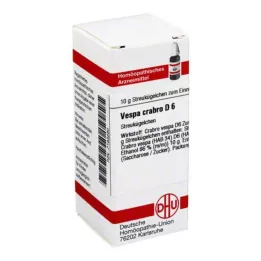VESPA CRABRO D 6 kulor, 10 g