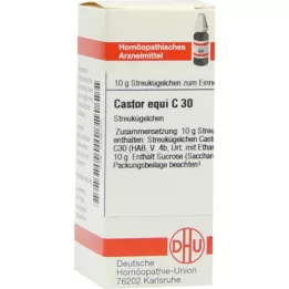 CASTOR equi C 30 kulor, 10 g