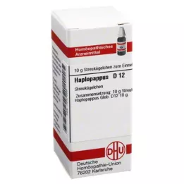 HAPLOPAPPUS D 12 kulor, 10 g