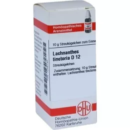 LACHNANTHES tinctoria D 12 kulor, 10 g