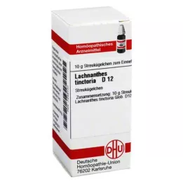 LACHNANTHES tinctoria D 12 kulor, 10 g