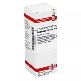 LESPEDEZA CAPITATA D 6 Utspädning, 20 ml