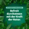 Bronchoforton® salva, 100 g