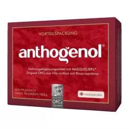 OPC ORIGINAL Masqueliers Anthogenol Kapslar, 90 Kapslar