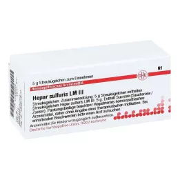 TEBONIN forte 40 mg filmdragerade tabletter, 120 st