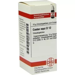 CASTOR equi D 12 kulor, 10 g