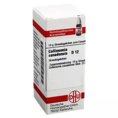 COLLINSONIA CANADENSIS D 12 kulor, 10 g