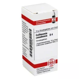 COLLINSONIA CANADENSIS D 4 kulor, 10 g