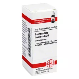 LACHNANTHES tinctoria C 30 globuli, 10 g