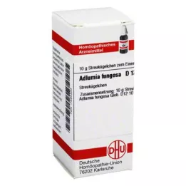 ADLUMIA fungosa D 12 kulor, 10 g