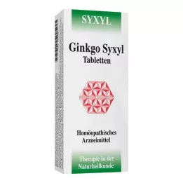 GINKGO SYXYL Tabletter, 120 st