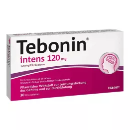 TEBONIN intensiva 120 mg filmdragerade tabletter, 30 st