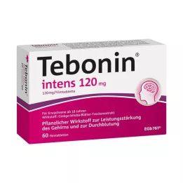 TEBONIN intensiva 120 mg filmdragerade tabletter, 60 st
