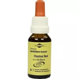 BACHBLÜTEN Murnauer Kastanj Knoppdroppar, 20 ml