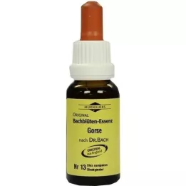 BACHBLÜTEN Murnauer Gorse droppar, 20 ml