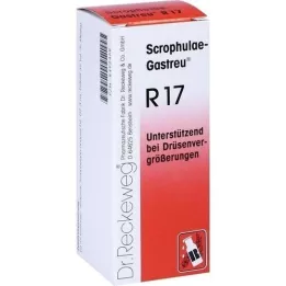 SCROPHULAE-Gastreu R17-blandning, 50 ml