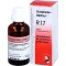 SCROPHULAE-Gastreu R17-blandning, 50 ml