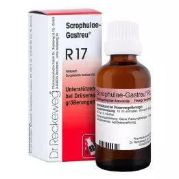 SCROPHULAE-Gastreu R17-blandning, 50 ml