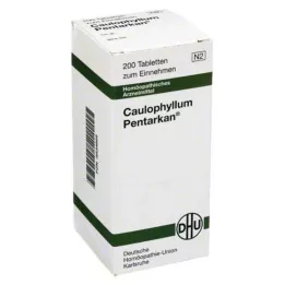 CAULOPHYLLUM PENTARKAN Surfplattor, 200 st