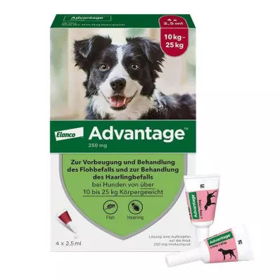 ADVANTAGE 250 lösning för hundar 10-25 kg, 4 st