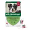ADVANTAGE 250 lösning för hundar 10-25 kg, 4 st