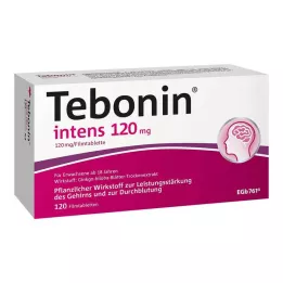 TEBONIN intensiva 120 mg filmdragerade tabletter, 120 st