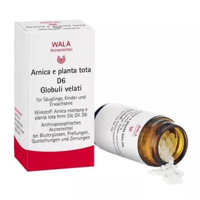 Arnica E Planta tota D 6 kulor, 20 g Arnica E Planta tota D 6 kulor, 20 g