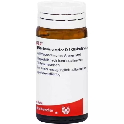 Berberis E Radice D3 kulor (20 g) Berberis E Radice D3 kulor (20 g)